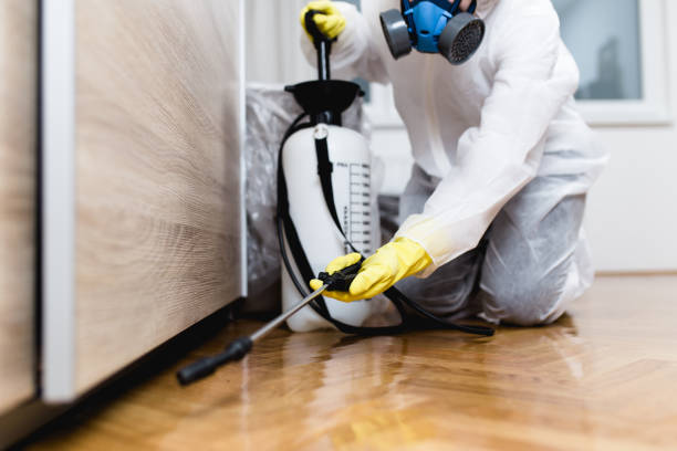 Best Flea Control Services  in Gberts, IL