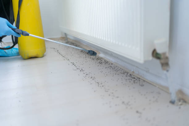 Best Pest Control for Restaurants  in Gberts, IL