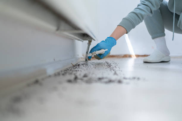 Best Residential Pest Control  in Gberts, IL